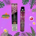 Amazonia 2000 Puffs Disposable Pod Device | Eliquid Base